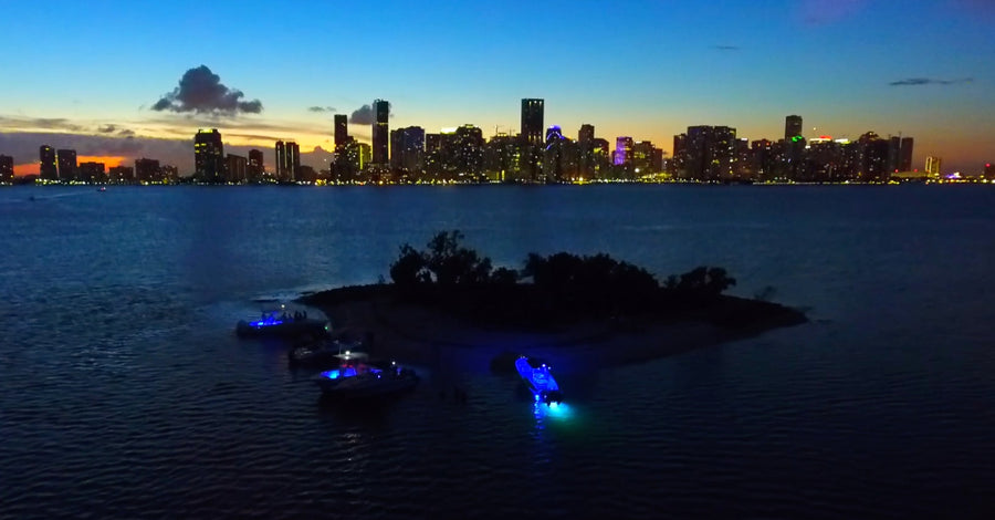 Night out miami skyline (3h) Max 6 people