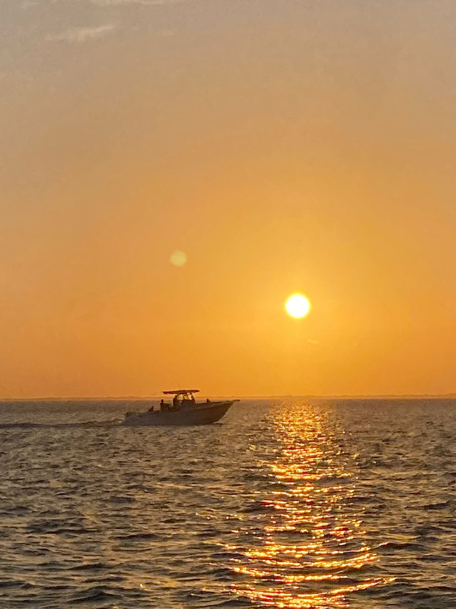Sunset cruise (3h) Max 6 people